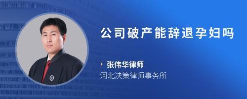 河北决策律师事务所