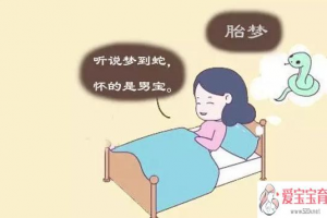 别人梦见我怀孕了预示什么