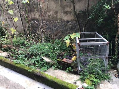 后院风水有什么讲究
