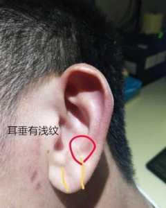 耳垂小的人命运怎么样