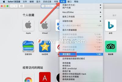 苹果浏览器清除缓存