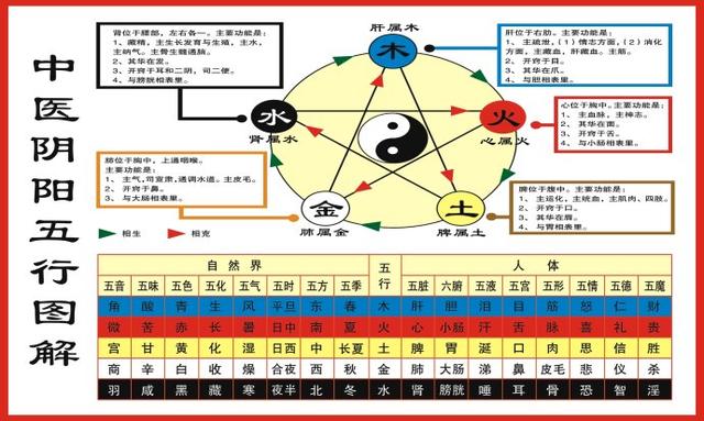 席字五行属什么