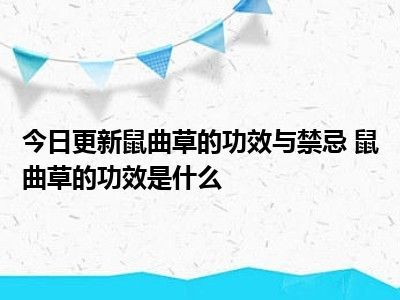 寻骨风的功效与作用及禁忌