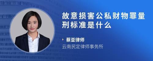 故意毁坏公私财物罪立案标准