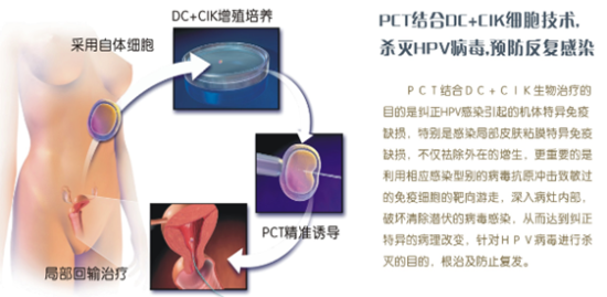 KU体育BET9网址大全的工程师正在使用移动诊断设备检测笔记本硬件