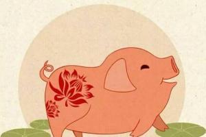 男猪女牛婚姻怎么样