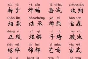 宝宝取名木字旁的