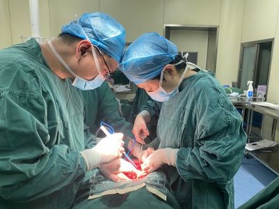 子宫出血是什么情况