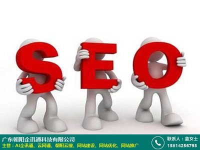 服务商 河源SEO网站优化怎么做 朝阳企讯通
