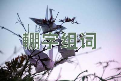 朝字组词怎么组词语