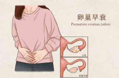 为什么这个月没来月经