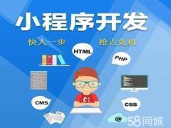 CMS网站建设流程深圳福瑞克科技
