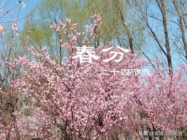 春暖花开的寓意是什么