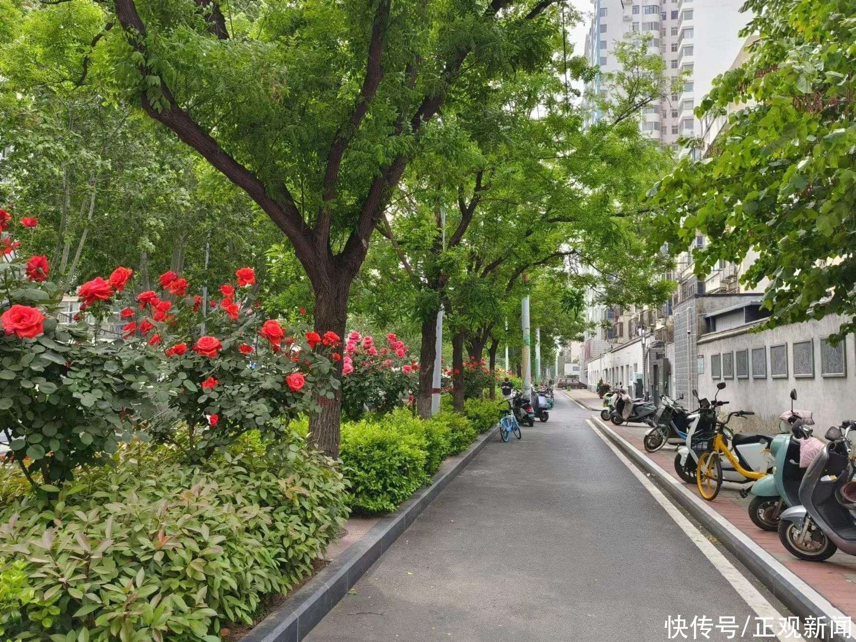 郑州3天，钱花在刀刃上的行程