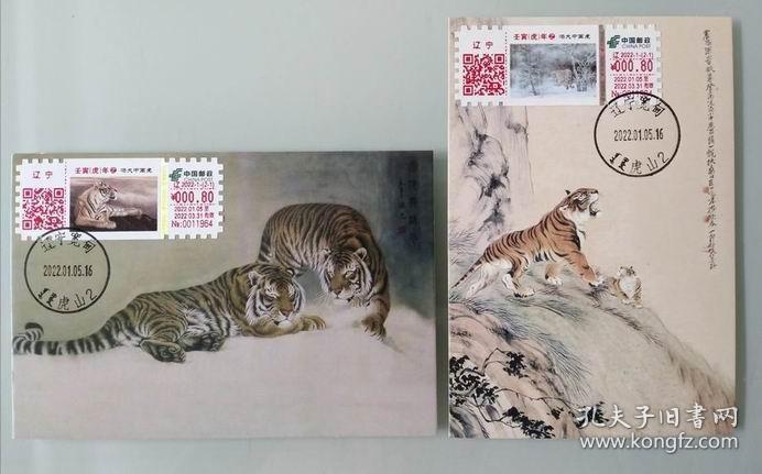 虎的生肖号码