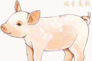 83年属猪运势