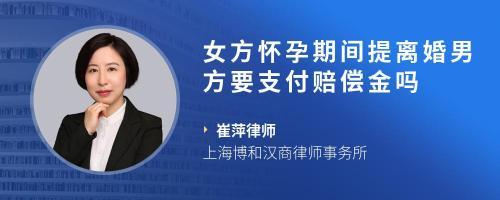 上海离婚女律师