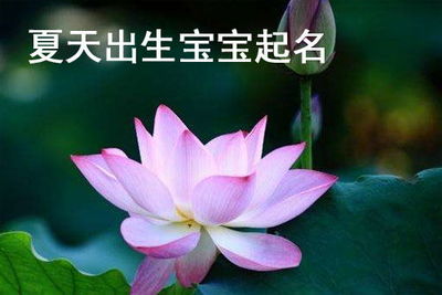 女孩缺金缺水取什么名字好