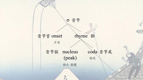 musuem划分音节