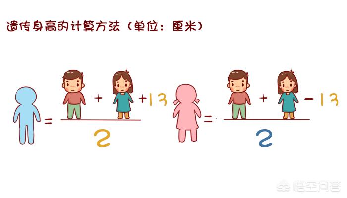 怎么计算胎儿身高