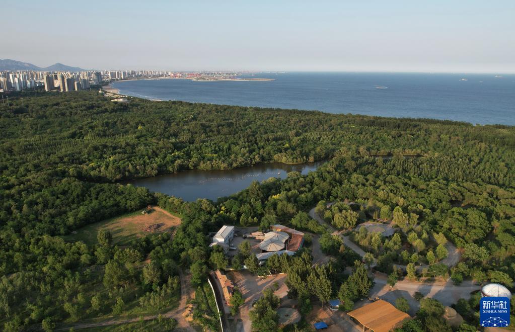 秦皇岛4天山海食光