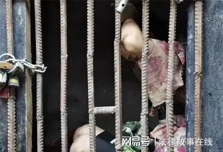 拐卖妇女儿童案例