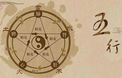 属虎五行
