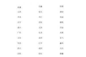 两个字的公司名字大全