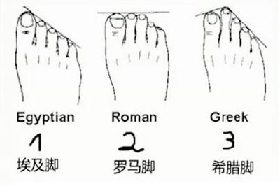 脚的形状看命运