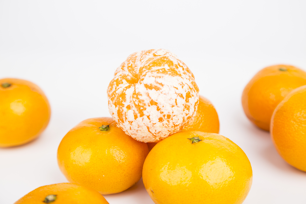 白底砂糖蜜桔橘子柑橘新鲜水果高清摄影素材