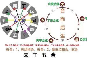 丑字五行属什么