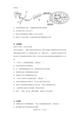 辰字的五行属性是什么