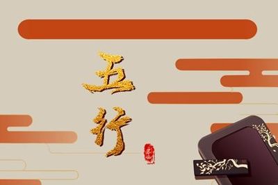 缺代表什么生肖