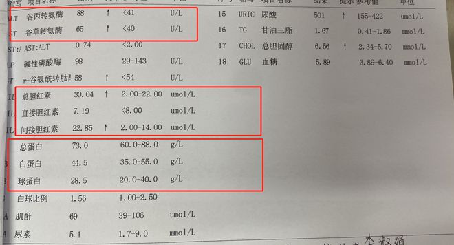 谷氨酰酶高是怎么回事