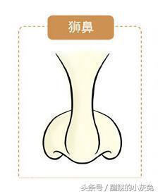 鼻子  面相