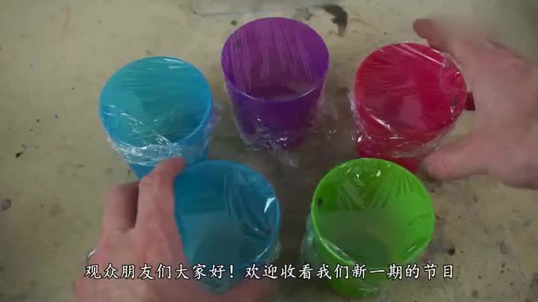 家里苍蝇太多怎么办