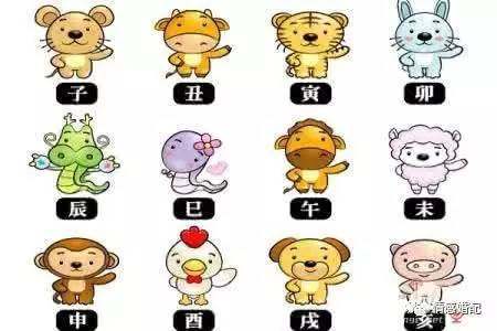 史上最全的属相婚配表