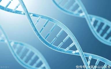 怀孕两个月可以做亲子鉴定吗