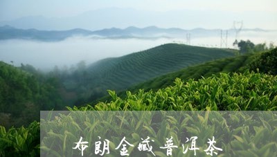 布朗山普洱熟茶特点