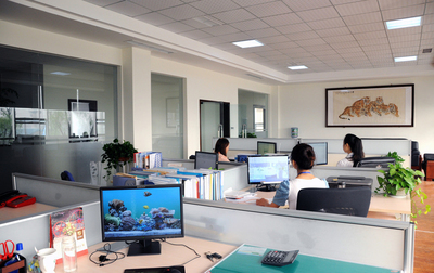 厦门网站建设
