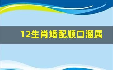 属相配对顺口溜