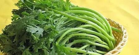 茼蒿菜孕妇能吃吗