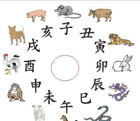 流口水是什么生肖