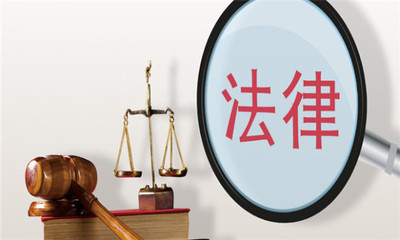法律执行是指