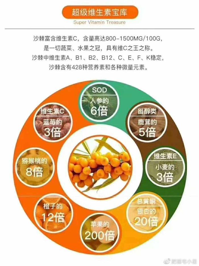 孕妇可以吃沙棘吗