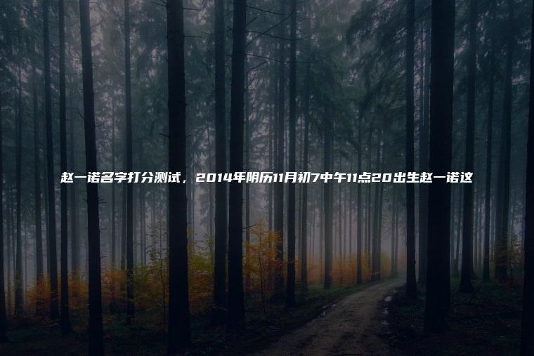 赵一诺名字打分测试