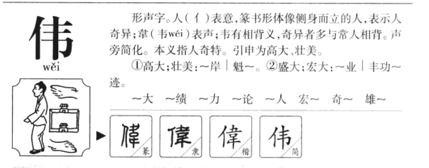 伟字属于五行属什么