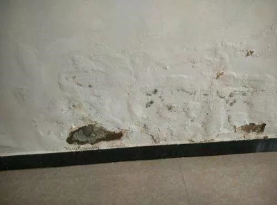 墙面泛碱的原因