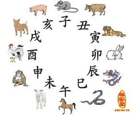 土的生肖