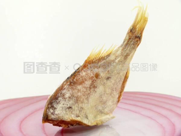 马尾鱼